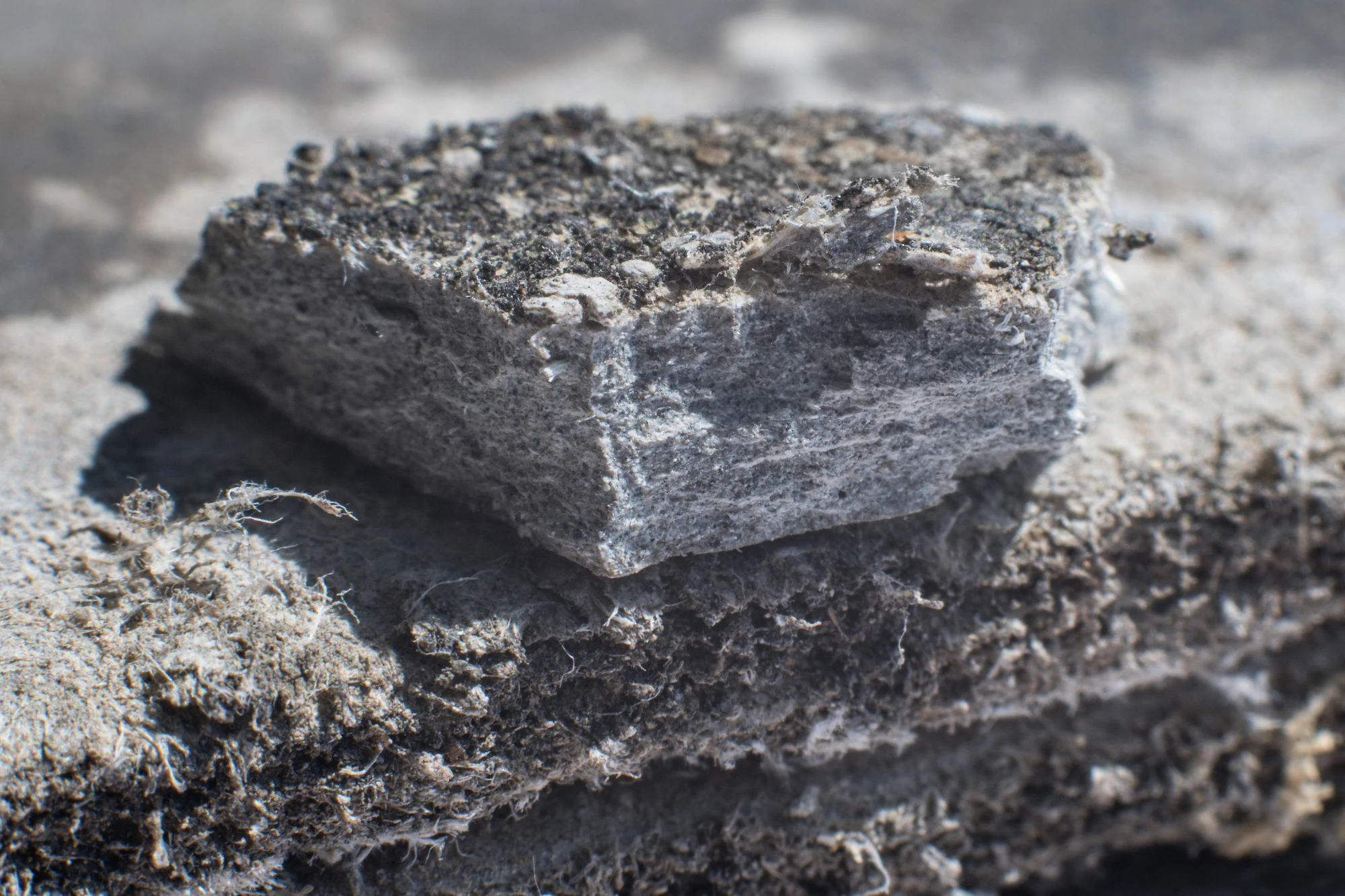 Close-up of a broken piece of grey asbestos cement, showing its fibrous layers and rough texture.