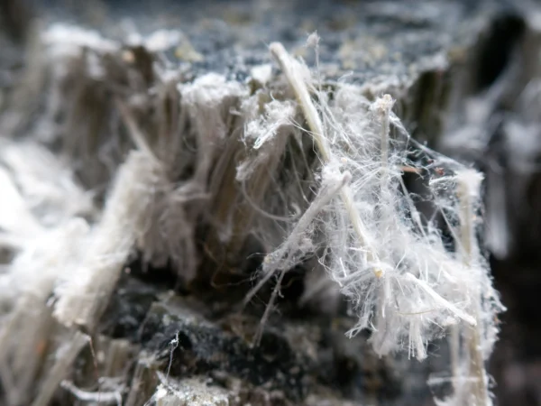 Thin bundles of white asbestos fibres. 
