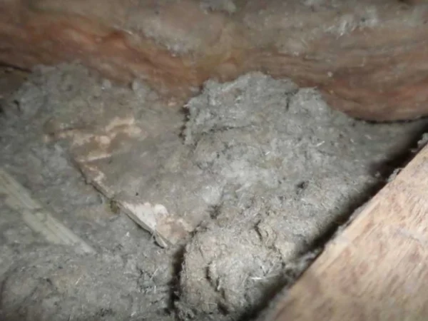 A close-up of grey material found in a loft.