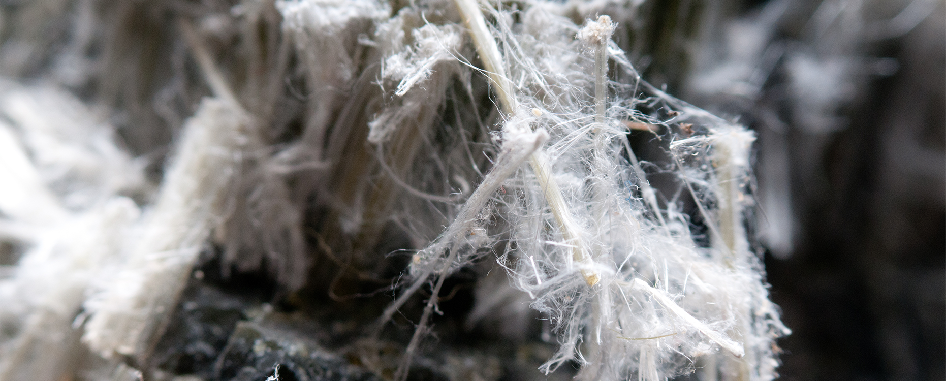 Close up of asbestos