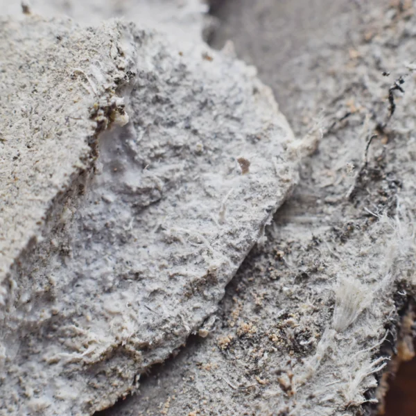 Asbestos encapsulation explained