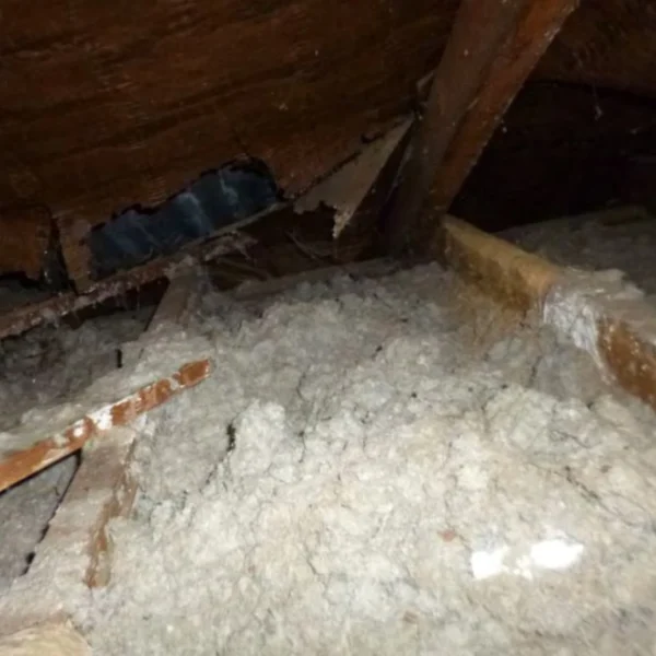 What to do if you find asbestos loft insulation